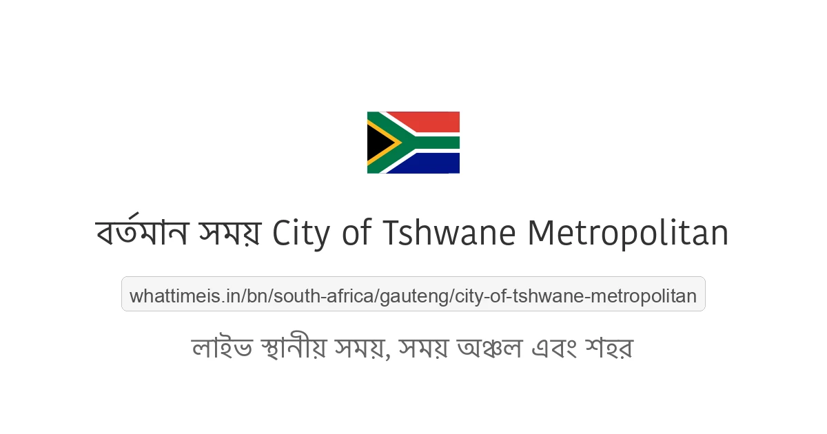 City of Tshwane Metropolitan-এর বর্তমান সময়