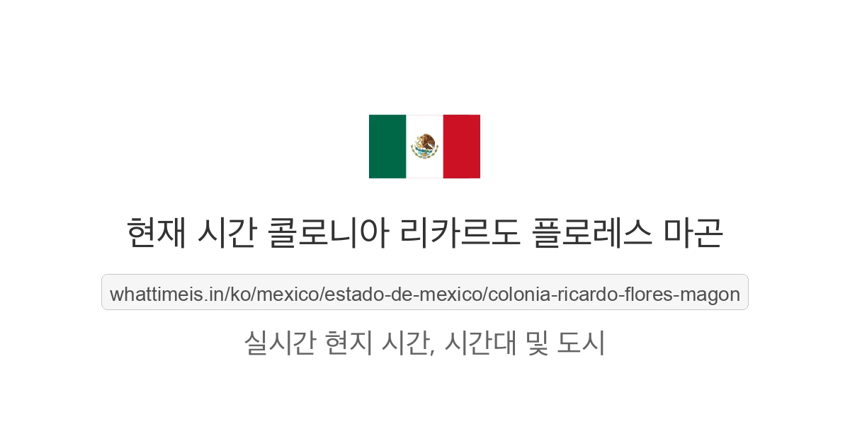 콜로니아 리카르도 플로레스 마곤의 현재 시각