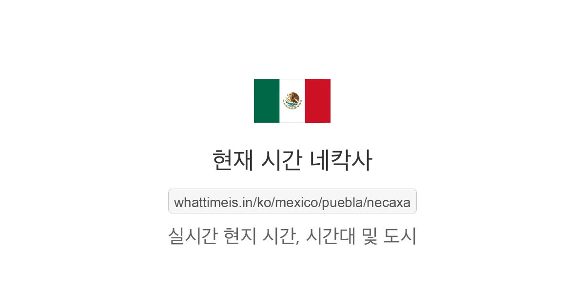 네칵사의 현재 시각