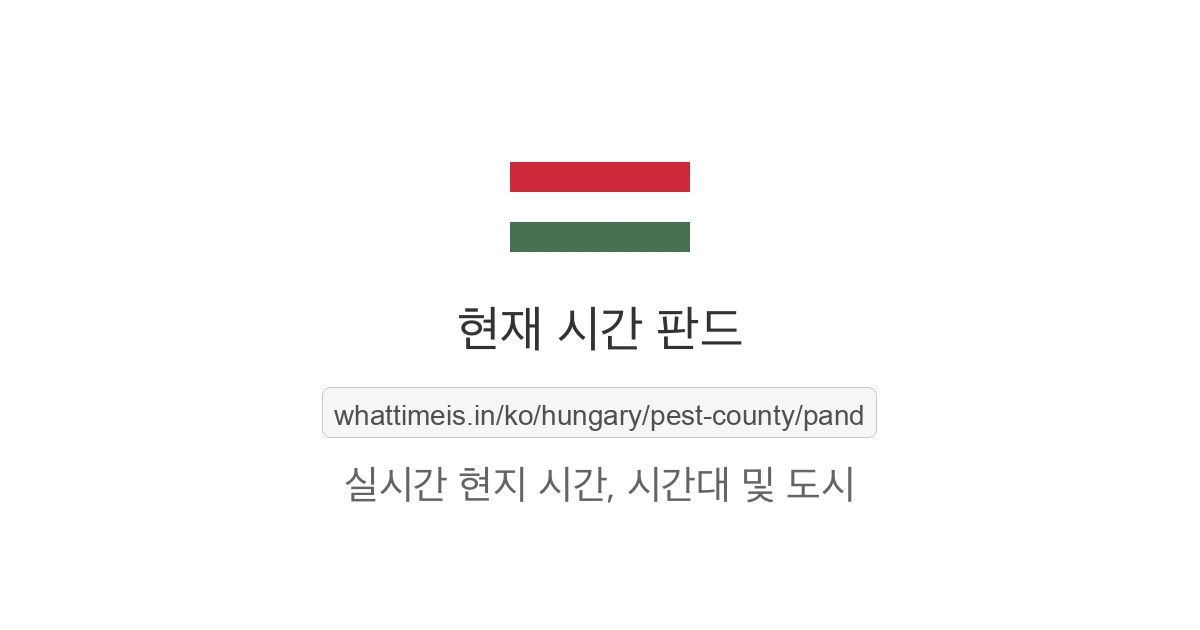 판드의 현재 시각