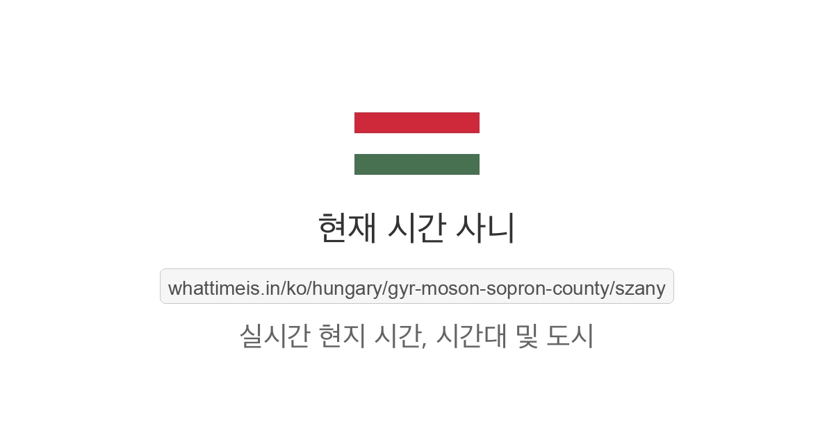 사니의 현재 시각