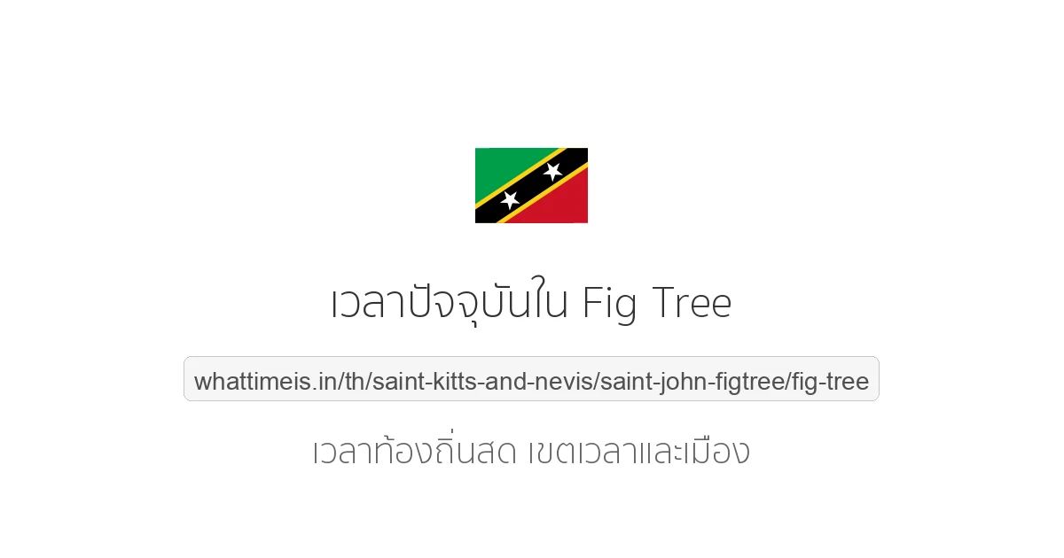 เวลาปัจจุบันใน Fig Tree